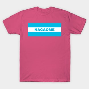 Nacaome City in Honduras Flag Colors T-Shirt